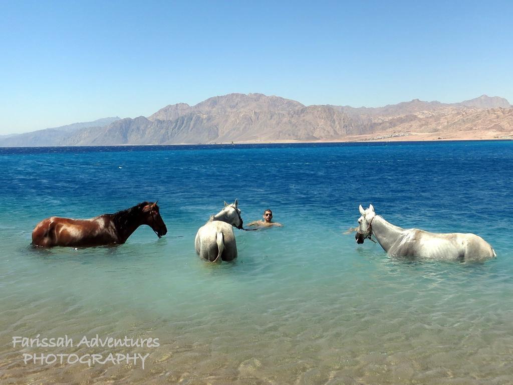 Blue Beach Club Dahab Exteriör bild